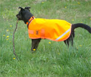 High Visibility Dog Coat