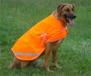 High Visibility Dog Coat