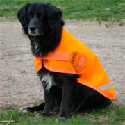 High Visibility Dog Coat