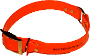 High Visibility Dog Collar