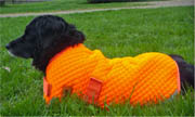 High Visibility Quilted Dog Coat