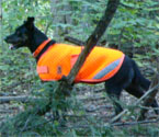 High Visibility Quilted Dog Coat