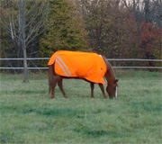 High Visibility 600D Turnout Blanket / Rug